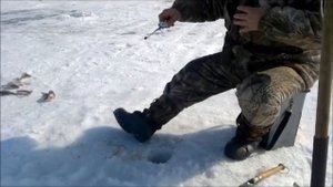 Рыбалка в Шира 2012