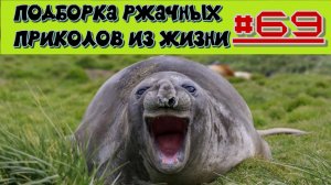 смешные видео #69 / лучшие видео / подборка приколов