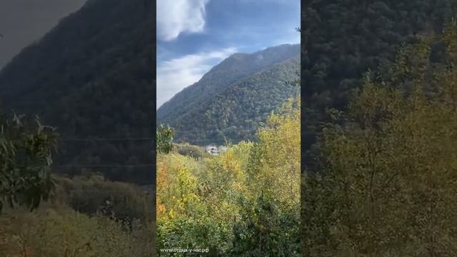 Сочи 2021 ПО ДОРОГЕ В КРАСНУЮ ПОЛЯНУ ❤️🌊⛰🌴🏖🐬☀️