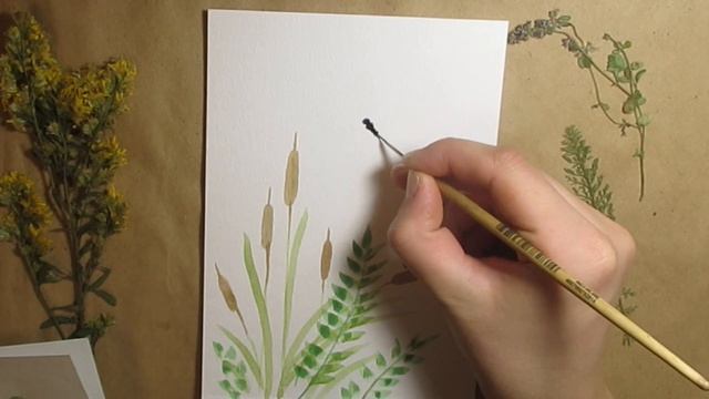 Рисуем Камыши и Стрекоз акварелью смотреть онлайн