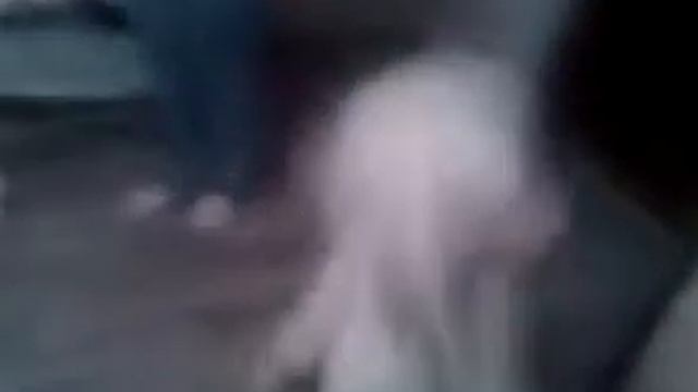 Куни