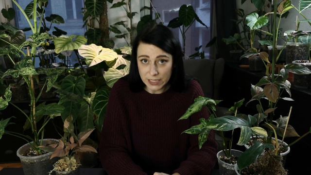 Panaschierung zurück holen