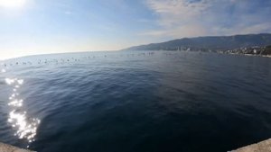 Яхт Клуб Ялта ( Yacht club Yalta )