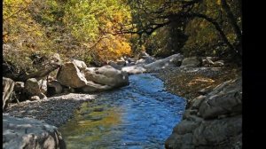 Национальный парк Вануаз. Франция