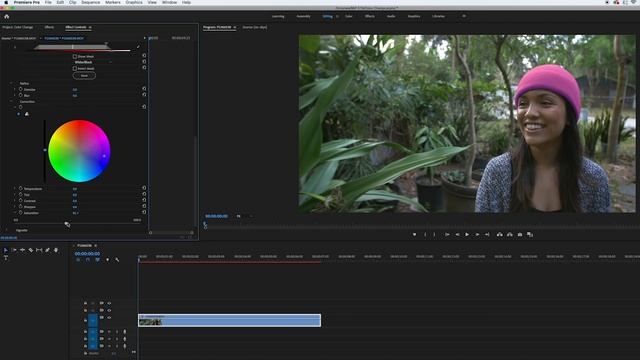 5 Effects in Premiere Pro смотреть онлайн