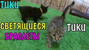 КАК ПРАВИЛЬНО ВАРИТЬ ТОЛЧЕНУЮ КАРТОШКУ???