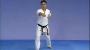 Каратэ Киокушинкай  Ката    Тайкиоку Соно Ичи