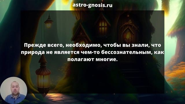 Гномы, русалки, саламандры: вся правда об элементалях, жителях четвёртого измерения.