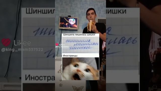 жиза