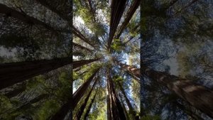 Побывал в легендарном месте съёмок сериала Твин Пикс