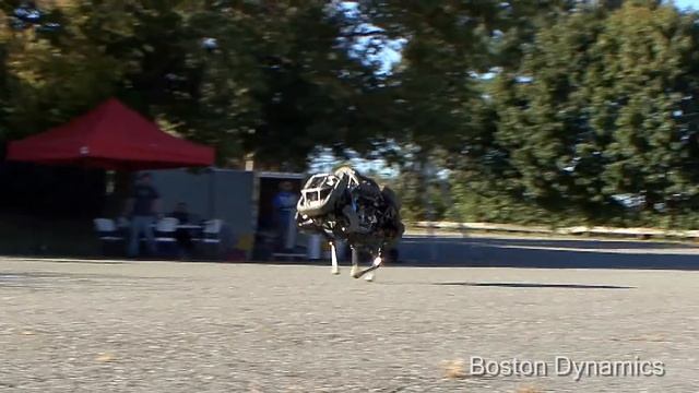 Introducing WildCat смотреть онлайн