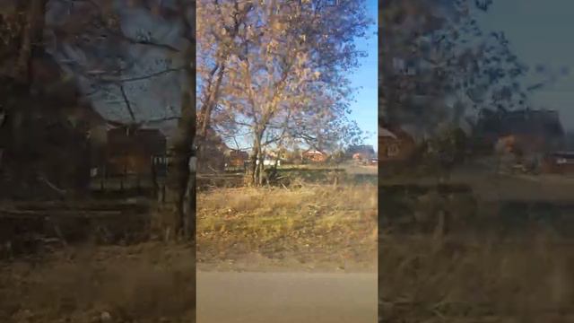Из Рязани до посёлка сельского типа Криуша (Клепиковский район, Рязанская область) на автобусе