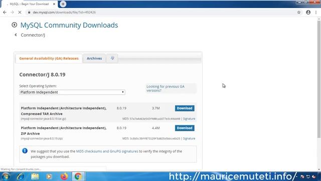 JAVA And MySQL Database Project (NetBeans IDE) Tutorial #3 - How To Download Mysql Connector J смотреть онлайн