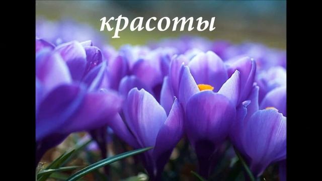 Видео-открытка "Милых женщин Колледжа культуры и искусств с праздником 8 Марта!" смотреть онлайн