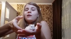 ПОЧЕМУ ХОМЯК КУСАЕТСЯ? | ЧТО ДЕЛАТЬ ЕСЛИ ХОМЯК КУСАЕТСЯ? | ЛАЙФХАКИ ДЛЯ ХОМЯКА | HOMUSYA LIFE