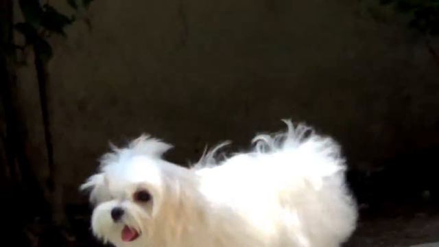 Юкос male 4 мес смотреть онлайн