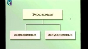 Введение в социальную экологию. Лекция 1. Экология, как системная наука