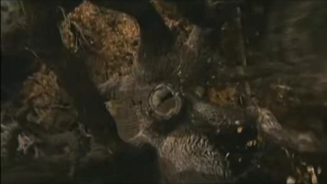 братья гримм 2005 вырезанный дополнительный эпизод.сцена смотреть онлайн