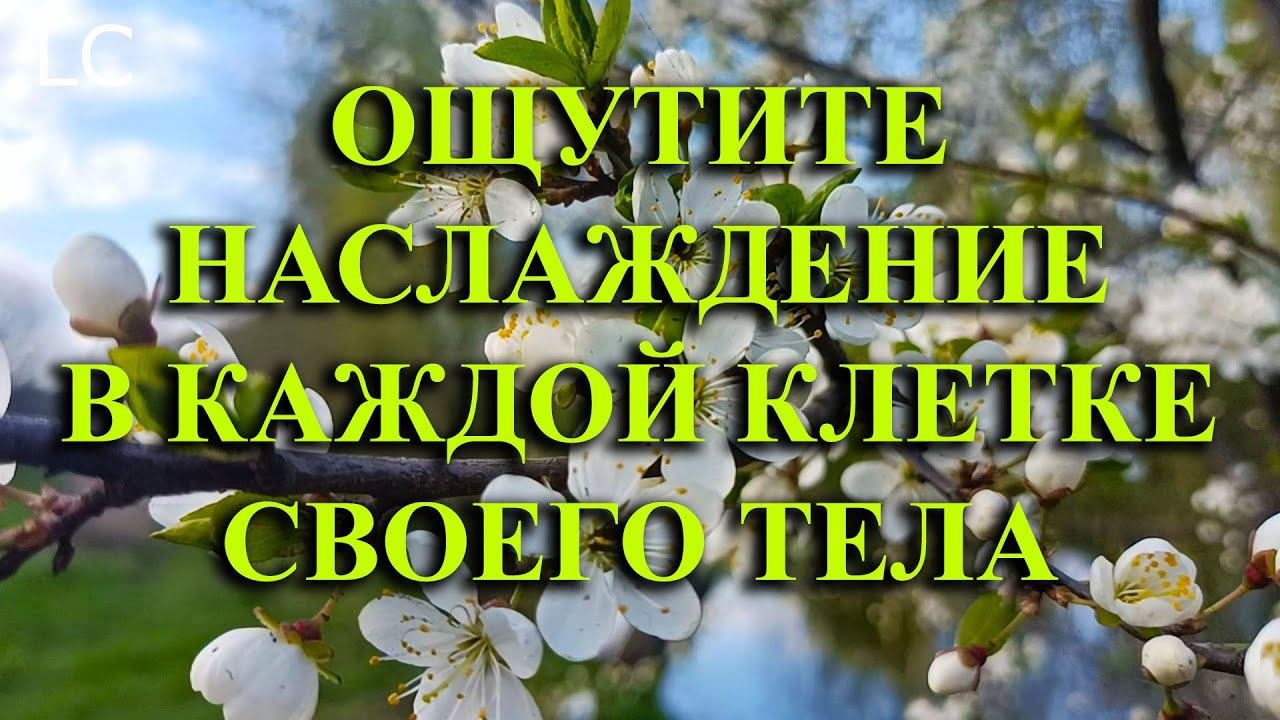 Дыхание свежего воздуха, мелодия природы наполняет сердце радостью. #музыкадлясна #природа