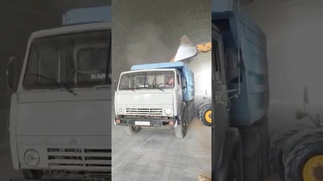 уборка зерно, 2022,пшеница, погрузка зерно, Ddieci, смотреть онлайн