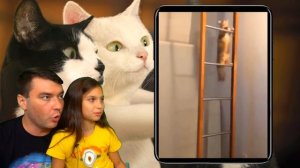 КОТЫ НА КАРАНТИНЕ! Смешные ?КОТЫ и ?СОБАКИ! НЕ ЗАСМЕЙСЯ ЧЕЛЛЕНДЖ! Funny Cats Не смеяться Валеришка