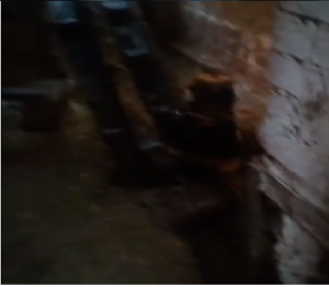 Всем бабам сюда.