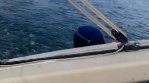 Алекстар 25 Воронежское водохранилище