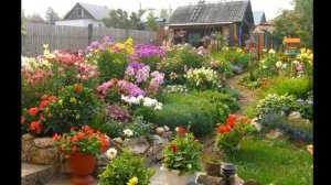 Цветник на Даче для Начинающих Садоводов - 2018 / Flower Garden in the Summerhouse for Gardeners