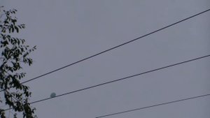 Тим Талер, или Проданный смех (Джеймс Крюс) - БУКТРЕЙЛЕР