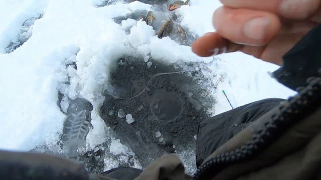 Пробую прикормить плотву и выставить жерлицы #ОтдыхКарелия #РыболовныйГид #Прикормка #Жерлицы #Крош смотреть онлайн