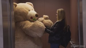 Гигантский плюшевый медведь раздаёт подарки ко Дню святого Валентина