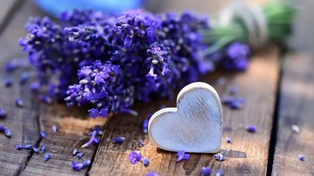 Лаванда смотреть онлайн