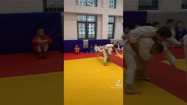 День борьбы, дзюдо, самбо,judo