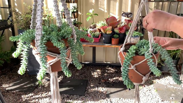 Kwentuhang Macrame at Donkeys tail! смотреть онлайн