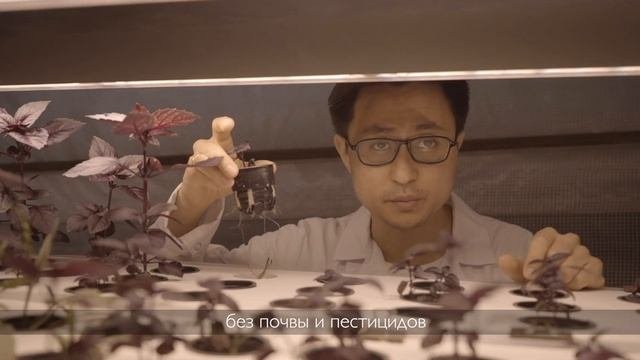 Полный курс 