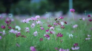 Сильнейшая Медитация ШЕПОТОК на рост Густых волос. Whispering Meditation for Thick Hair Growth.