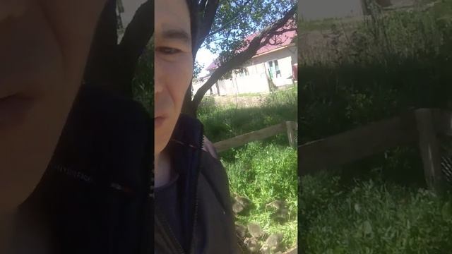 Выгул гусят. 7 мая праздник смотреть онлайн