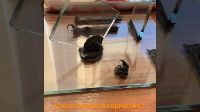 Эластичность силиконового герметика Kortlinger смотреть онлайн