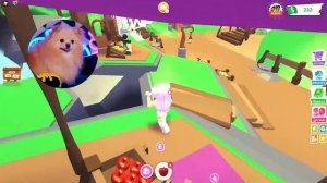 У МЕНЯ НОВЫЙ ПИТОЕЦ В АДОПТ МИ РОБЛОКС | ADOPT ME ROBLOX