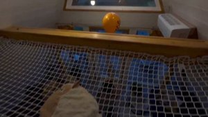 VLOG | путешествие на выходные | глэмпинг | Glamping | отдых загородом