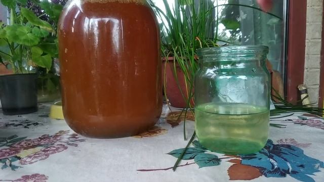 Появилась наседка.. яйца не подкладывали, а цыплят получили| Как подсадить цыплят к наседке? смотреть онлайн