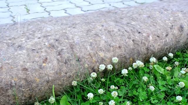 Войлок потниковый смотреть онлайн