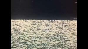 Игла (1988) - Трейлер к фильму