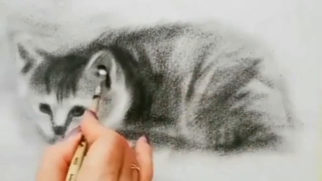 Техника "СУХАЯ КИСТЬ". Рисунок котёнка. смотреть онлайн