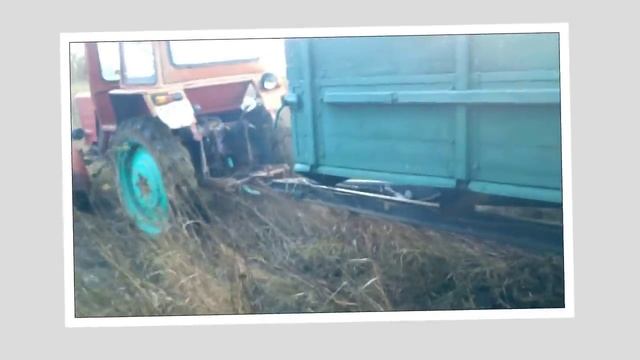 Владимирец Т-25 ☆ Вывоз дров из ТРУДНОДОСТУПНОГО места. смотреть онлайн