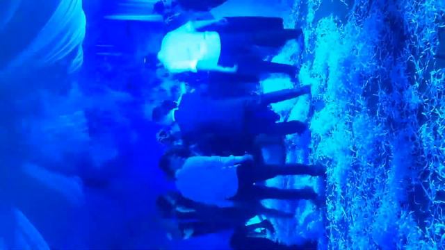 Шатер Венеция лапсары