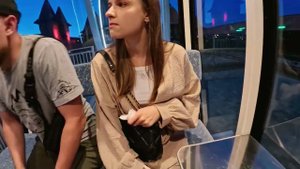 Парк Лога. Колесо обозрения