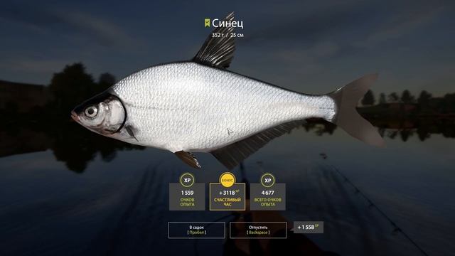 Синец и Рыбец • Р.Волхов • Русская рыбалка 4 смотреть онлайн