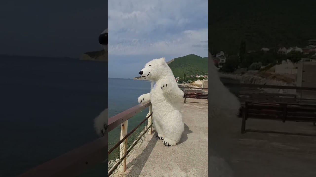 Белый мишка поздравляет с праздником ВМФ  #костюммедведя #новороссийск  #черноеморе #вмф #деньвмф