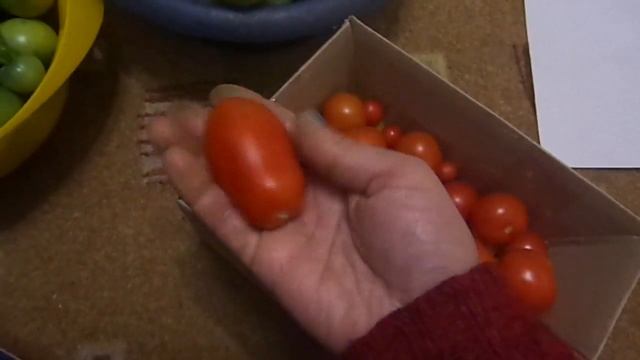 Что делать с зелеными помидорами смотреть онлайн